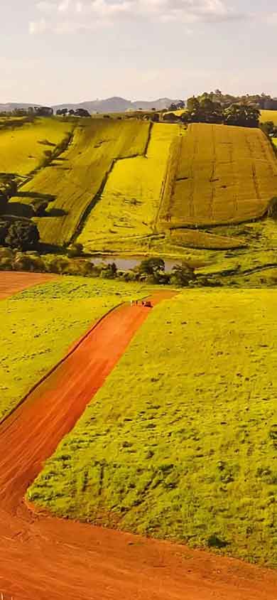 imagem de apresentação do site