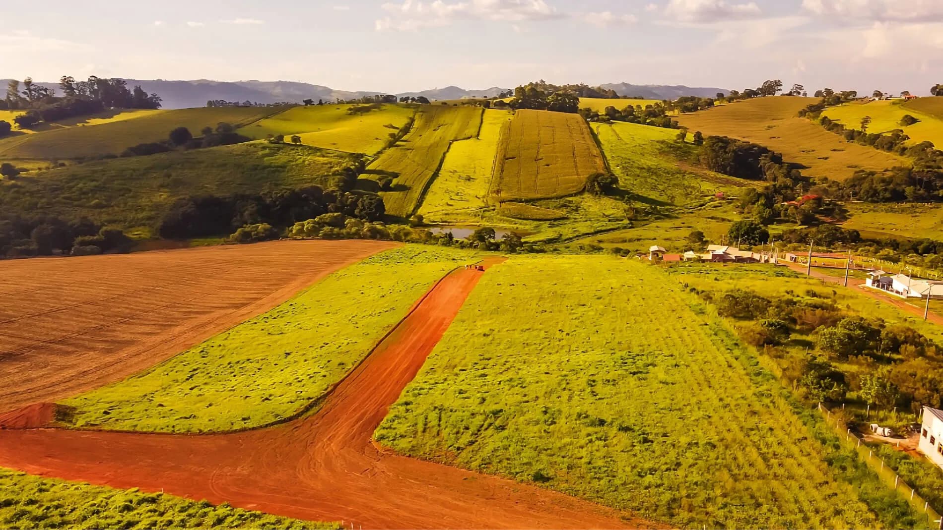 imagem de apresentação do site